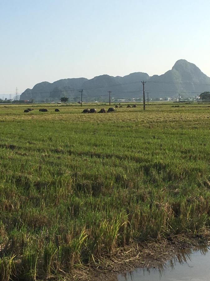 Limestone View Homestay Ninh Bình Kültér fotó